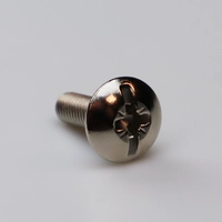 Koblingskrue M6X20mm Skrue PZ