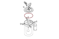 O-ring Pizzi 81000 D5/D12/D20