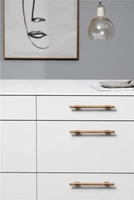 Håndtak 1032 Furnipart Join i Lakkert Eik - Flere Lengder